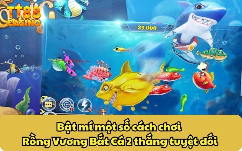 Rồng Vương Bắt Cá 2 – Siêu Phẩm Game Bắn Cá Giải Trí 2025 5 Bật mí một số cách chơi Rồng Vương Bắt Cá 2 thắng tuyệt đối