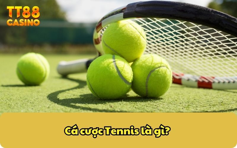 Cá Cược Tennis Tại TT88 – Hòa Mình Với Phút Giây Kịch Tính 2 Cá cược tennis là gì?