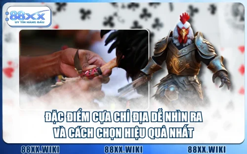 Đặc Điểm Cựa Chỉ Địa Dễ Nhìn Ra Và Cách Chọn Hiệu Quả Nhất