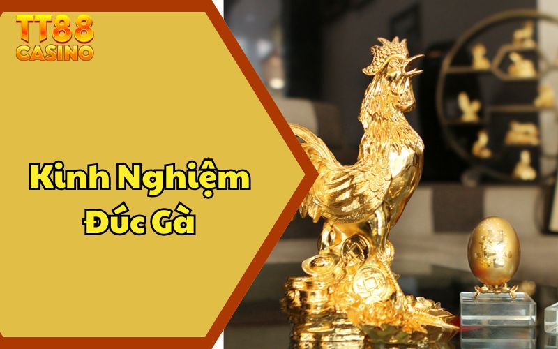Kinh Nghiệm Đúc Gà Chiến Cực Hiệu Quả Từ Các Cao Thủ 1 Kinh Nghiệm Đúc Gà Chiến Cực Hiệu Quả Từ Các Cao Thủ