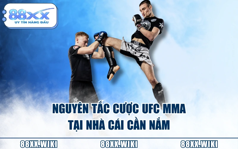 Nguyên tắc cược UFC MMA tại nhà cái cần nắm