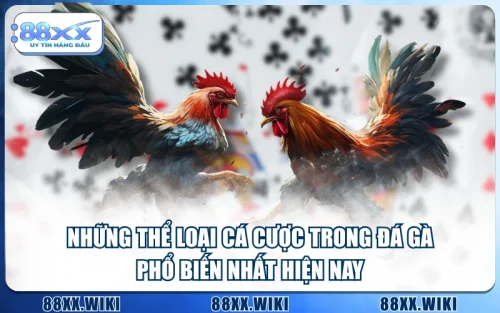 Những Thể Loại Cá Cược Trong Đá Gà Phổ Biến Nhất Hiện Nay