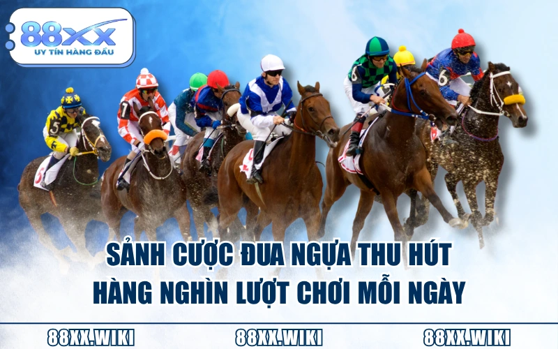 Sảnh cược đua ngựa thu hút hàng nghìn lượt chơi mỗi ngày